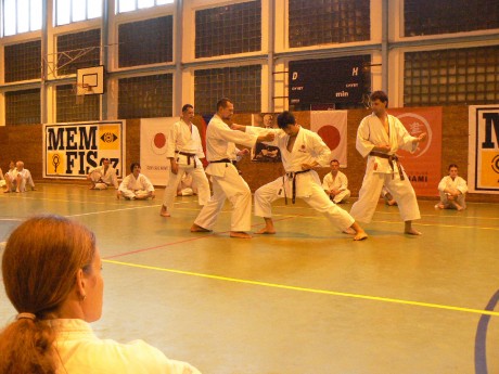 P1080173.jpg