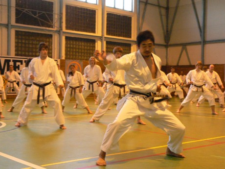 P1080423.jpg